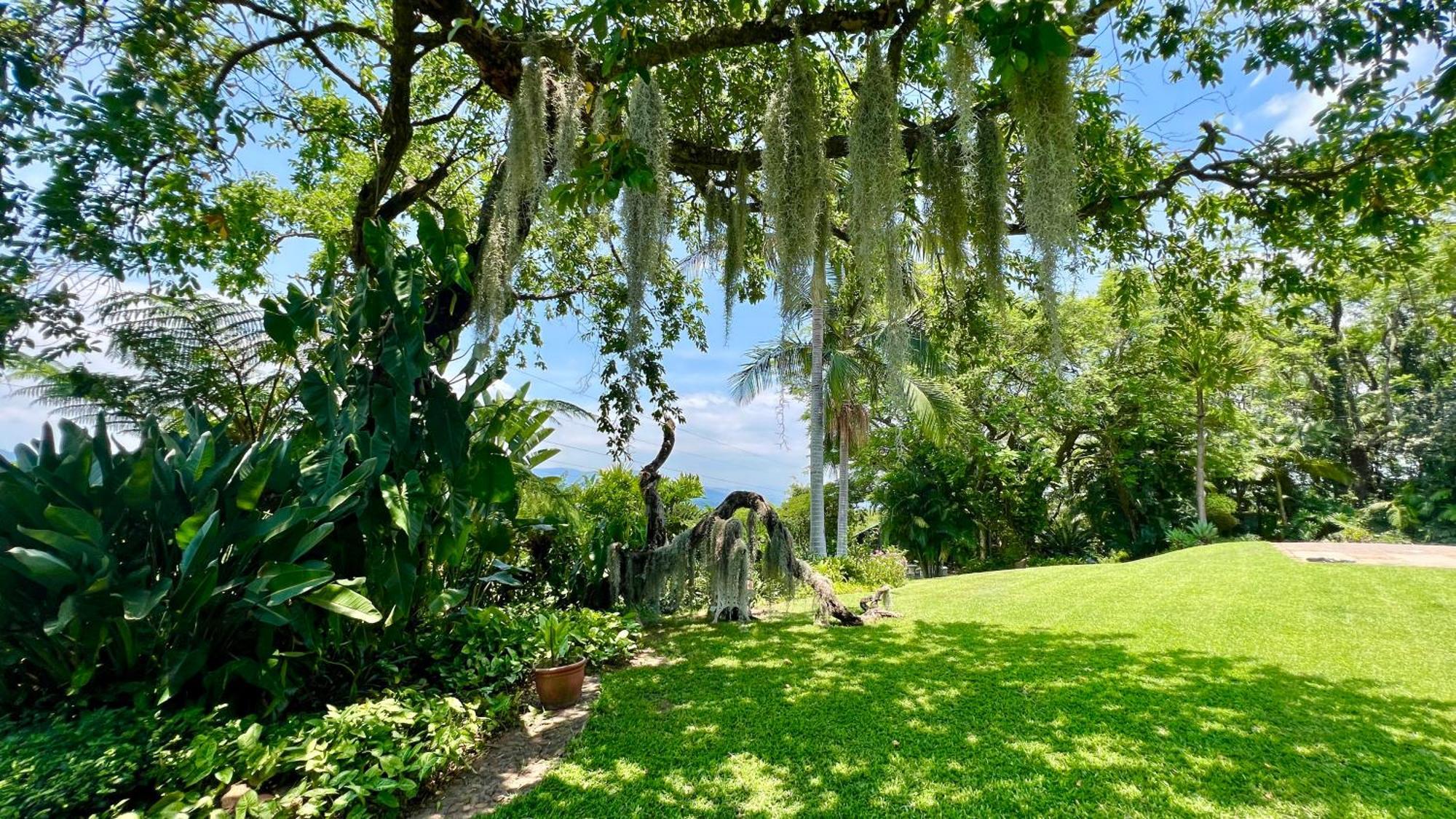 Loerieroep Estate - Mountainview Selfcatering Accommodation Nelspruit Mbombela Kültér fotó